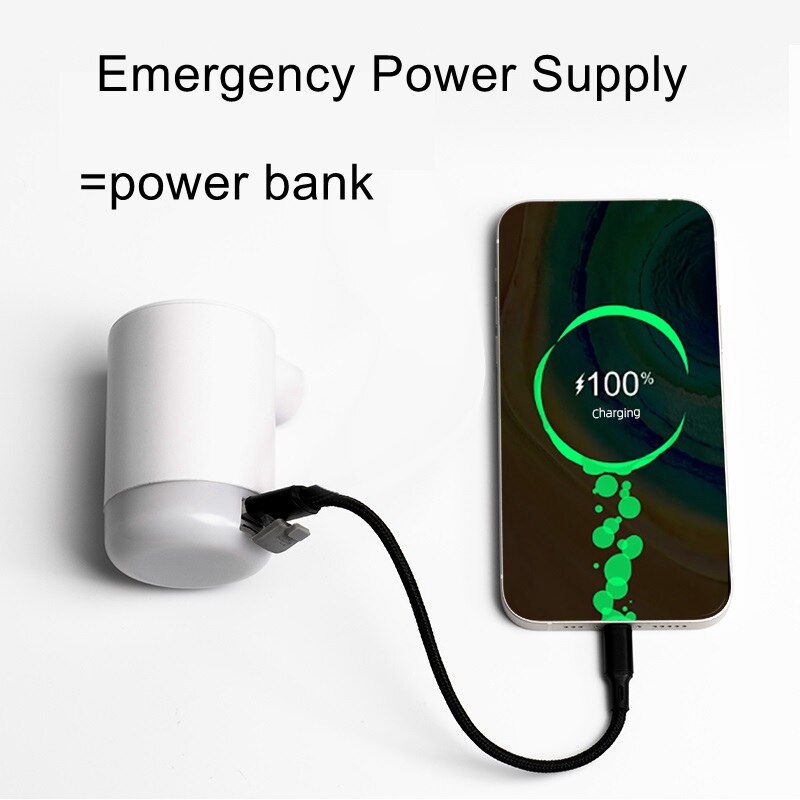 FLEXTAILGEAR Max Pump 2 Pro – 4-in-1 Portable Electric Air Pump